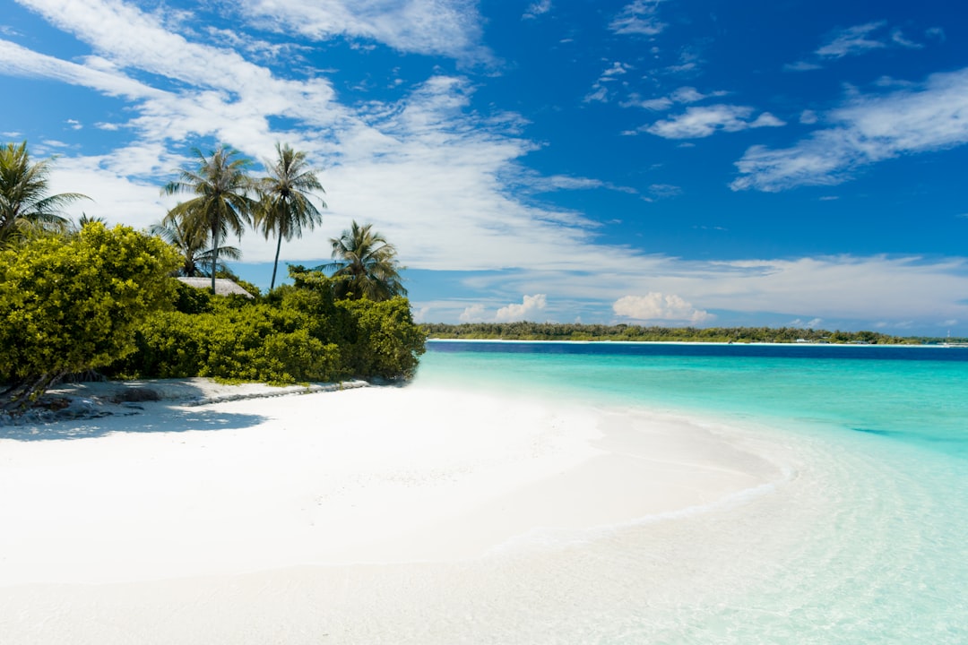 Photo Tropical beach